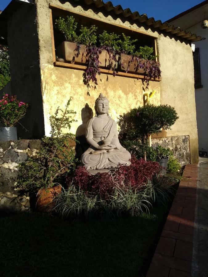 Casa Jade Hotel เตโปซตลัน ภายนอก รูปภาพ